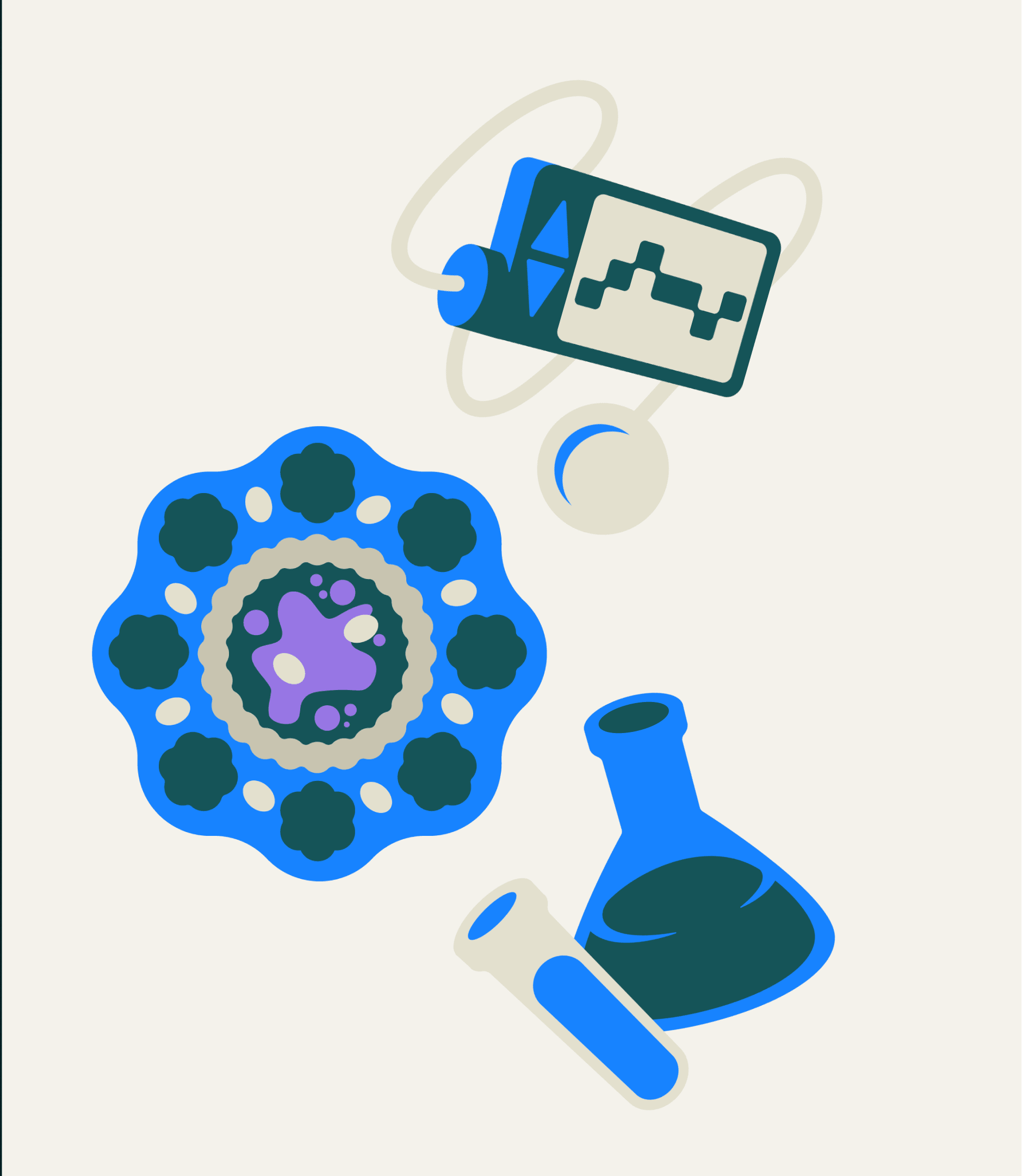 BDF 6B